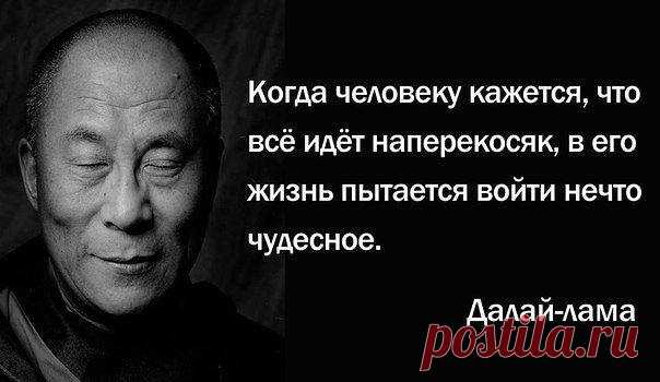 (4) Страницы
