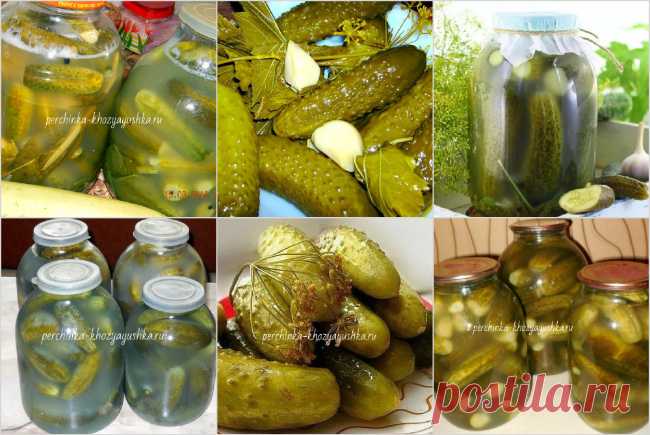 Огурцы как бочковые - рецепты засолки в банках разными способами - Заготовки от Перчинки - Perchinka Hozyayushka.ru