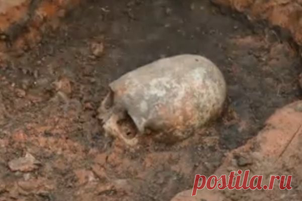 СМИ - под Аркаимом раскопали могилу пришельца + видео
