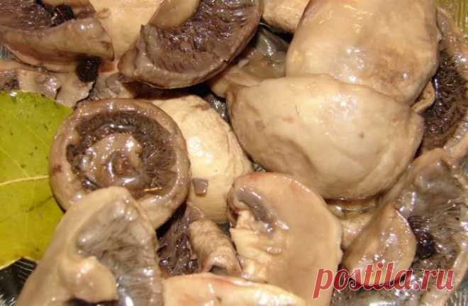 Маринуйте грибы сами