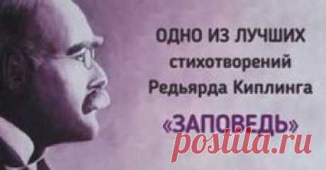 «Заповедь» Редьярда Киплинга. Читать и перечитывать! | LOVELIKE.IN.UA