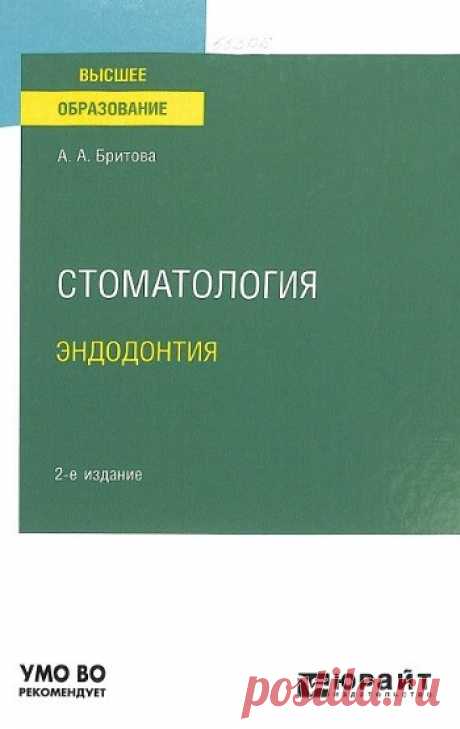 Стоматология. Эндодонтия 2024