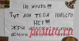 13 адских свадебных снимков, после просмотра которых у тебя не скоро возникнет желание жениться!