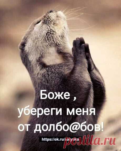 юмор и позитив