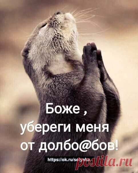 юмор и позитив