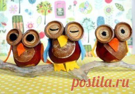 Совы из каштана . осенние поделки