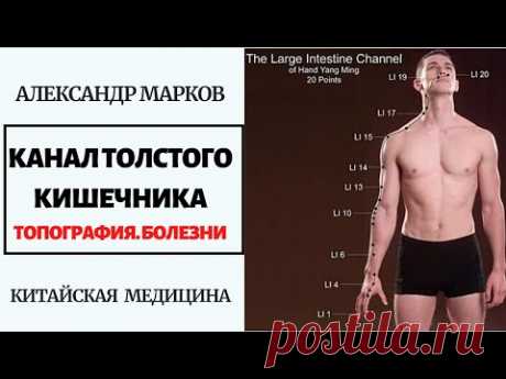 КАНАЛ ТОЛСТОГО КИШЕЧНИКА: ТОПОГРАФИЯ, ОСНОВНЫЕ БОЛЕЗНИ. ПРИГЛАШЕНИЕ НА ВЕБИНАР. КИТАЙСКАЯ МЕДИЦИНА.