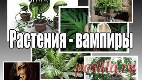 (59) Одноклассники