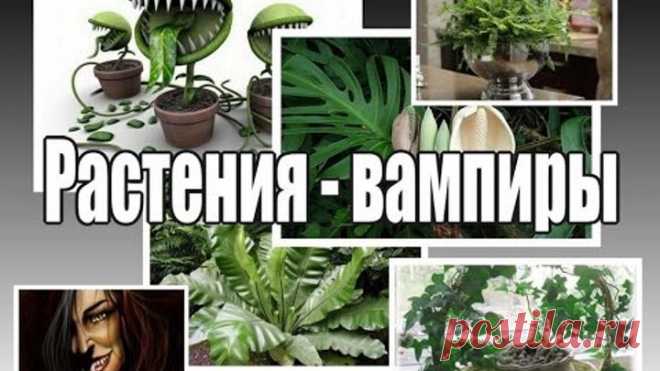 (59) Одноклассники