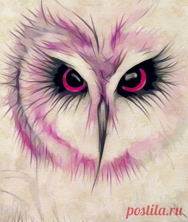 Enchanted Owl in 2022 | Cute owls wallpaper, Owls drawing, Bird art