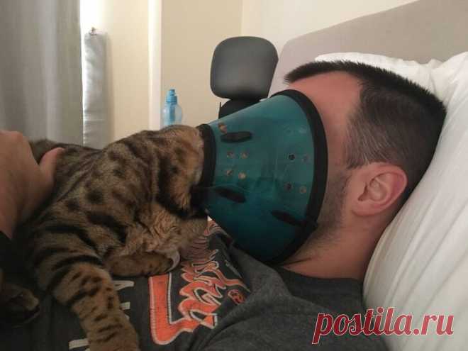 17 котиков, которые обожают выводить всех вокруг без стыда и совести