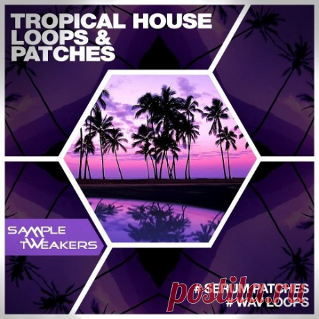 Sample Tweakers Tropical House For XFER RECORDS SERUM  | 214MB
Sample Tweakers are back with an ultimate collection of Tropical House patches for amazing VST Synth - Serum!

......:::::: Product Specifications ::::::......
• Format: Synthesizer Presets (.FXP/Xfer Records Serum)
• 122 Presets For Xfer Records Serum

Download at:

https://audioclub.store/uncategorized/sample-tweakers-tropical-house-for-xfer-records-serum/