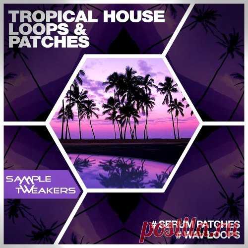 Sample Tweakers Tropical House For XFER RECORDS SERUM  | 214MB
Sample Tweakers are back with an ultimate collection of Tropical House patches for amazing VST Synth - Serum!

......:::::: Product Specifications ::::::......
• Format: Synthesizer Presets (.FXP/Xfer Records Serum)
• 122 Presets For Xfer Records Serum

Download at:

https://audioclub.store/uncategorized/sample-tweakers-tropical-house-for-xfer-records-serum/