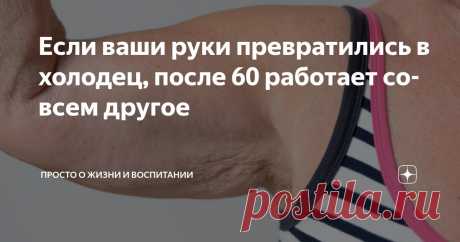 Если ваши руки превратились в холодец, после 60 работает совсем другое Статья автора «Просто о жизни и воспитании» в Дзене ✍: Есть такой момент в жизни каждой женщины: зеркало вдруг начинает выдавать правду, которую долго не хотелось замечать.