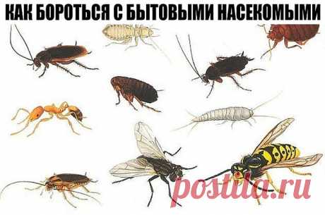 (72) Одноклассники