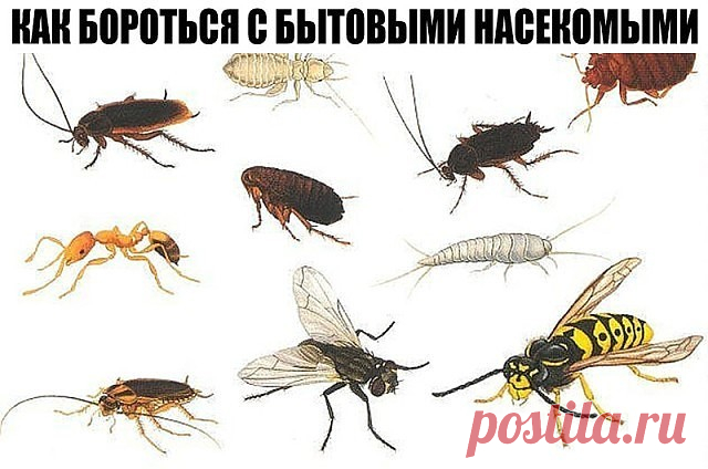 (72) Одноклассники