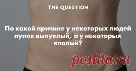 Бесплатный сайт