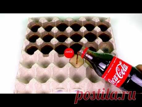 10 Creative Ideas With Egg Carton