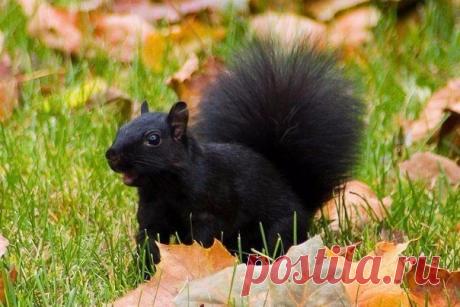 Чудо). Альбом Фото группы - 10940 фото. Фотографии 💕 Я выбираю тебя 💑.