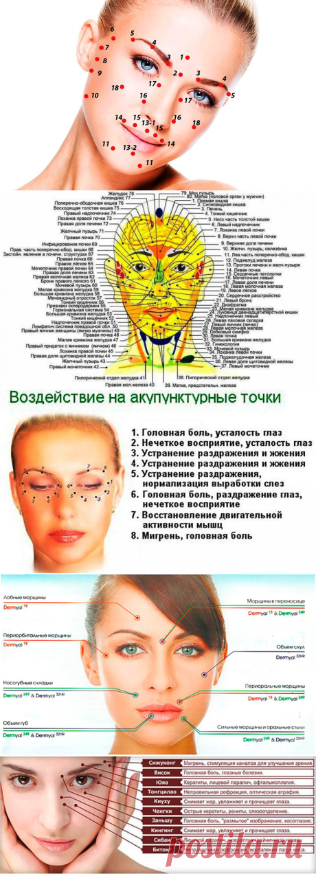 Точки на лице отвечающие за органы, активная стимуляция