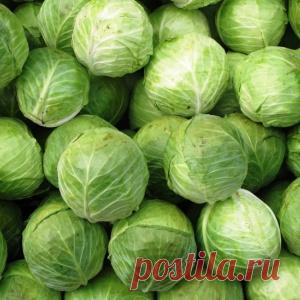 10 очень смешных жизненных историй, которыми поделились люди на просторах рунета.