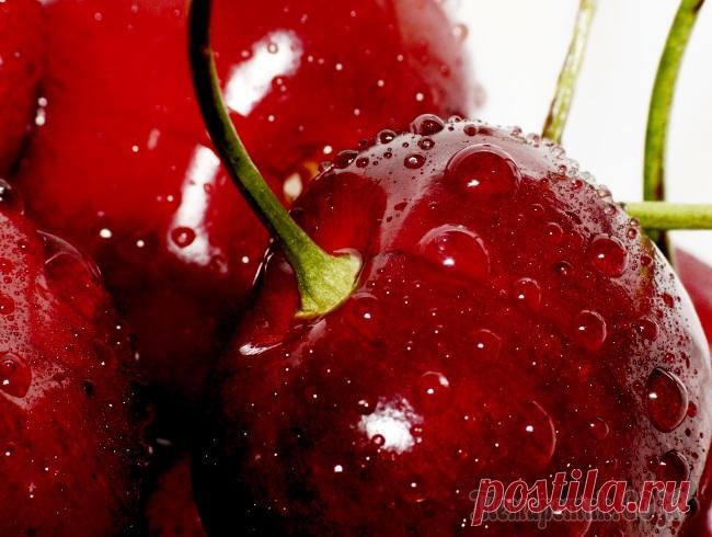 Лучшие сорта черешни