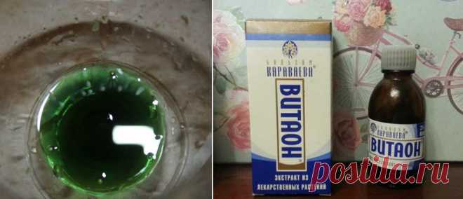«Хлорофиллипт»: цена вопроса — копейки! 15 проверенных временем рецептов