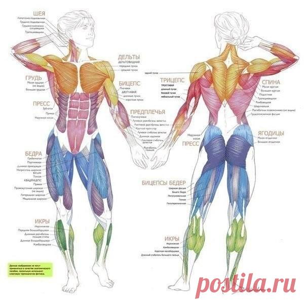 Одноклассники