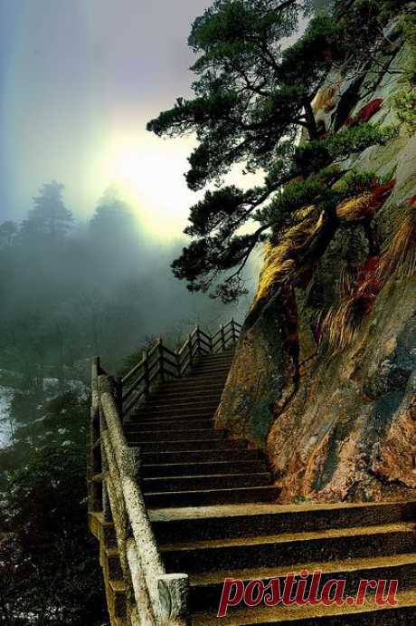 Trail in the Huangshan mountain range in Eastern China. ♥ #bluedivagal, blued…
flickr от 號獃 H.D | Pin by DrJay Ellis on CHINA- been there/going there