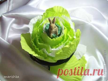 Капуста для зайки