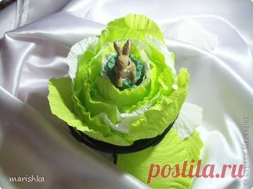 Капуста для зайки