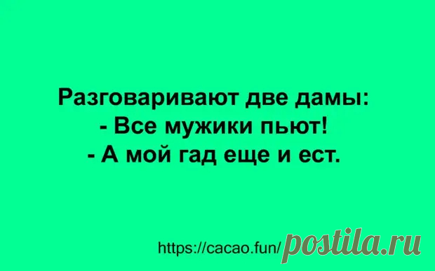 (34) Смешные анекдоты, которые наполнят вашу жизнь позитивом - Сказка для двоих - 5 февраля - 43778730784 - Медиаплатформа МирТесен