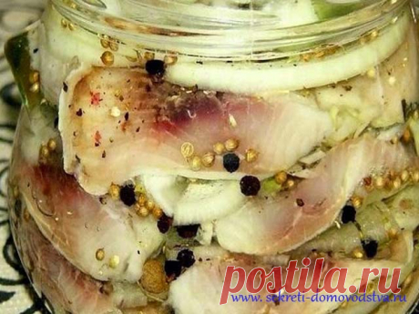 Сельдь соленая в домашних условиях — 14 очень вкусных рецептов