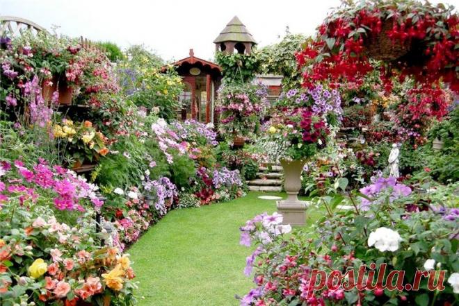 (4) Мой Мир@Mail.Ru