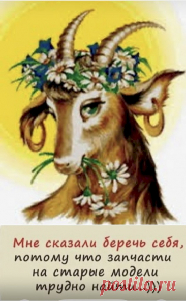 Выпуск №6470 - выпуск анекдотов сайта вокруг смеха