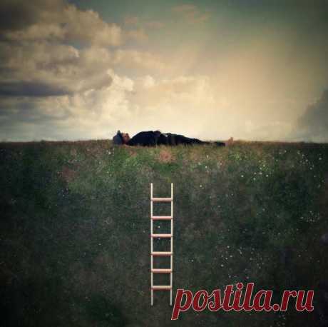 A Lifetime Photography