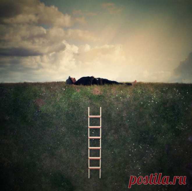 A Lifetime Photography