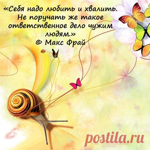 Веселые жизненные цитаты от Макса Фрая | bomba.co