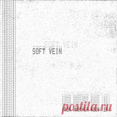 SOFT VEIN - FROM ANOTHER ROOM (EP) (2025) 320kbps / FLAC