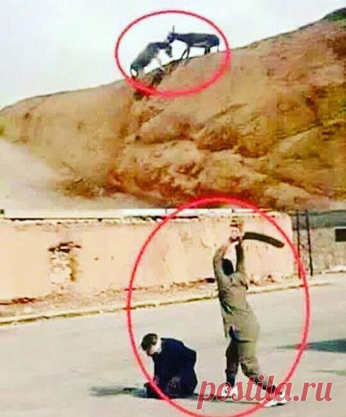 Нурлан Дусабаев – Google+