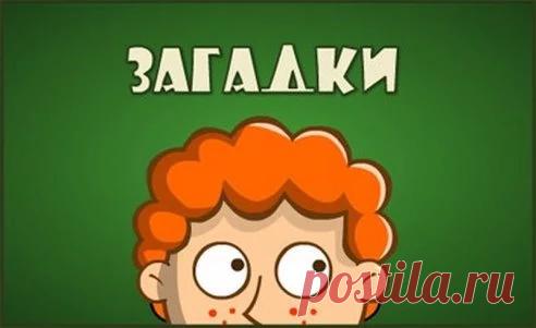 загадки