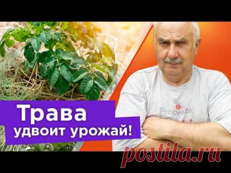 ВЫ БОЛЬШЕ НИКОГДА НЕ БУДЕТЕ ВЫБРАСЫВАТЬ СКОШЕННУЮ ТРАВУ ПОСЛЕ ПРОСМОТРА ЭТОГО ВИДЕО!