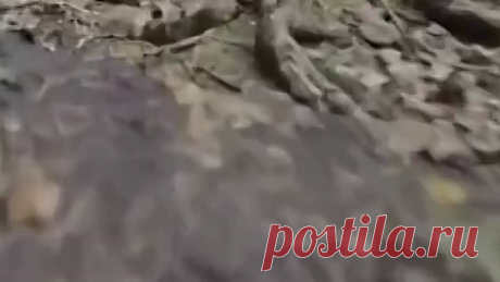 Ночное залипалово.