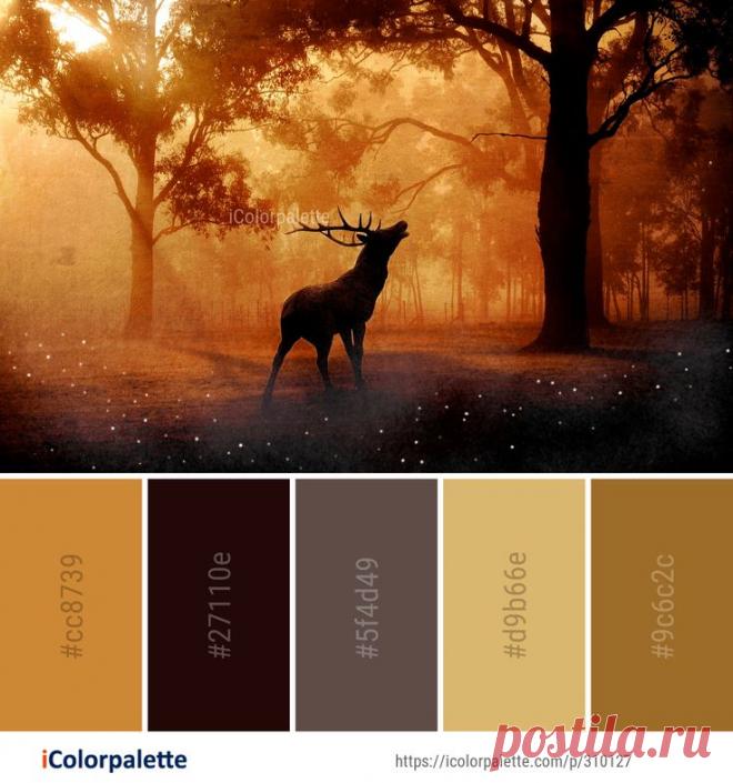 Урок. Палитра. Лес. Рассвет. Олень.