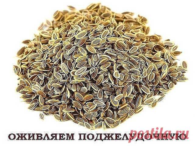 СКОРАЯ ПОМОЩЬ ПРИ ПАНКРЕАТИТЕ. 4 рецепта.
