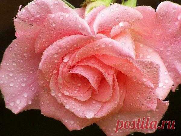 Things I love : Photo