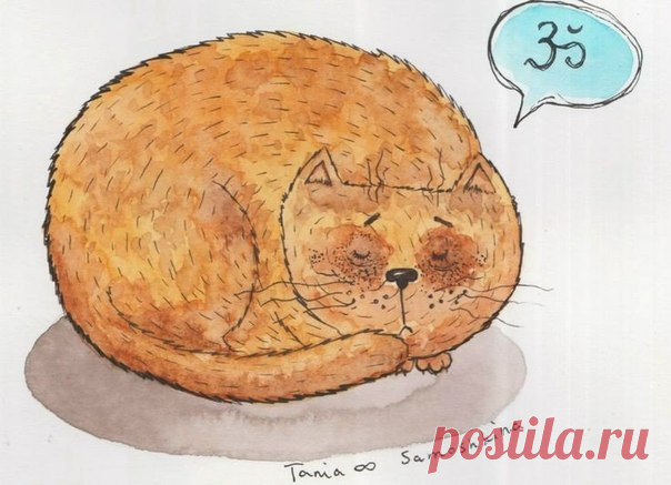 Уютные коты от Tania Samoshkina - СЧАСТЬЕ ЕСТЬ! Философия. Мудрость. Книги. — ЖЖ