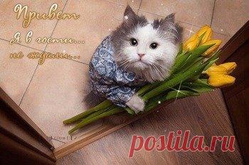 Прикольные открытки для друзей - cтраница 3