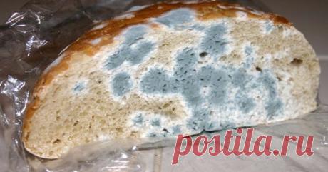А вы знаете, что делать с заплесневелым хлебом? Этот совет просто повергнет вас в шок! - Ok'ейно.mobi