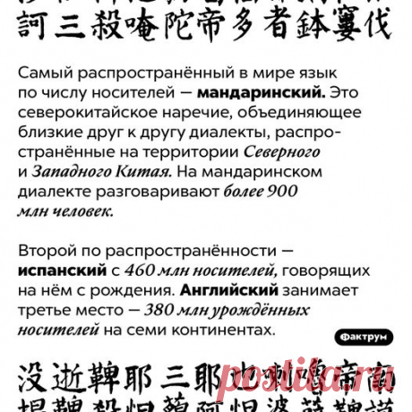 (6) Facebook